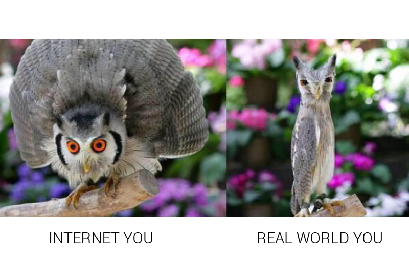 Illustration for article titled Japan's "Internet You Vs. the Real You" Meme